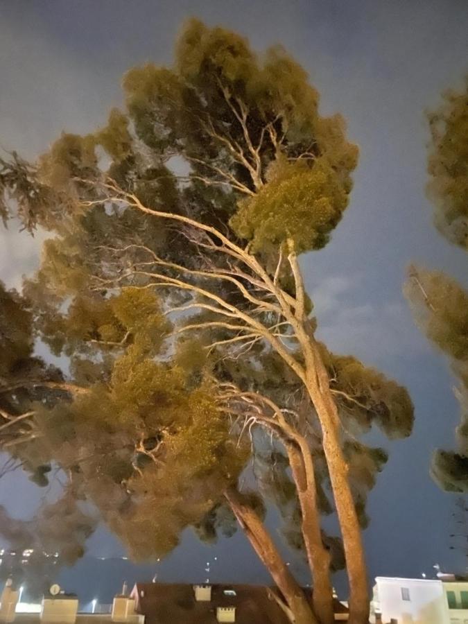 Port Bandol T3 Dans Residence Calme Parking Prive エクステリア 写真